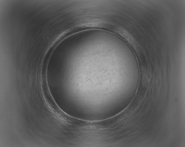 X0000084050482200702232355