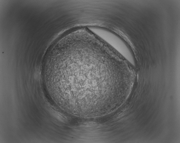 X0000084050483200702232355