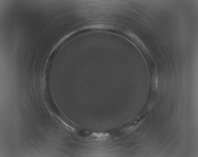 X0000084050484200702232355