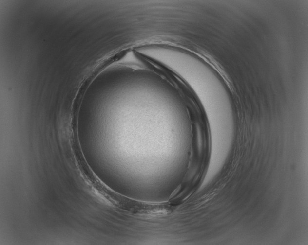 X0000084050485200702232355