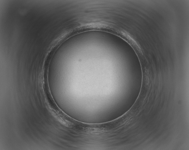 X0000084050486200702232355