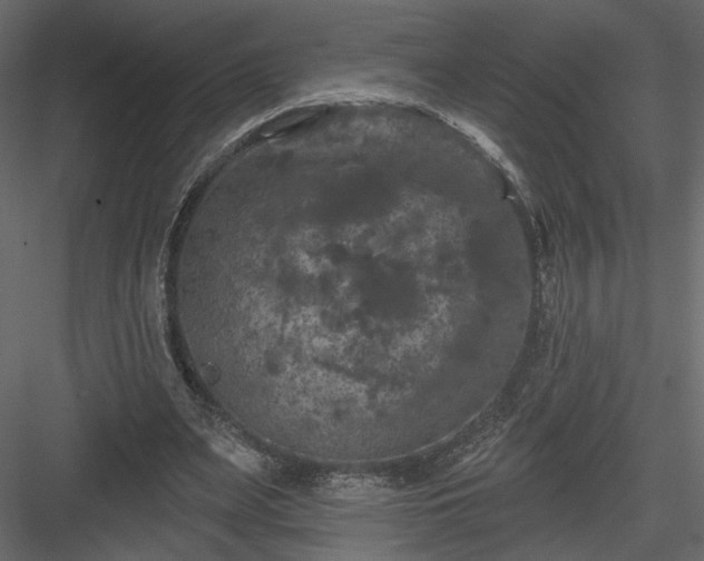 X0000084050487200702232355