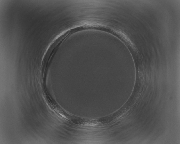 X0000084050488200702232355