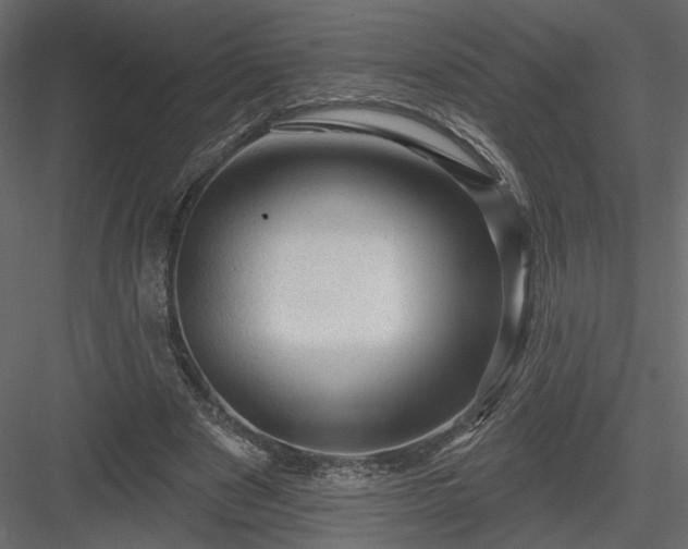 X0000084050489200702232355