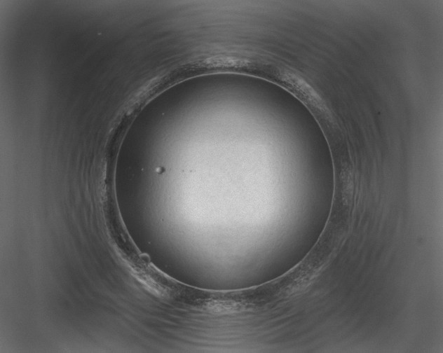 X0000084050490200702232355