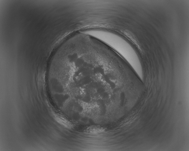 X0000084050491200702232355