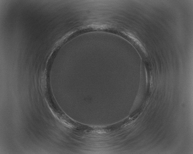 X0000084050492200702232355