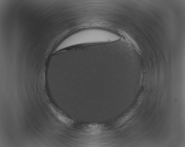 X0000084050493200702232355