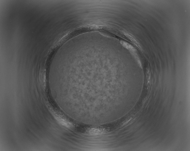 X0000084050494200702232355