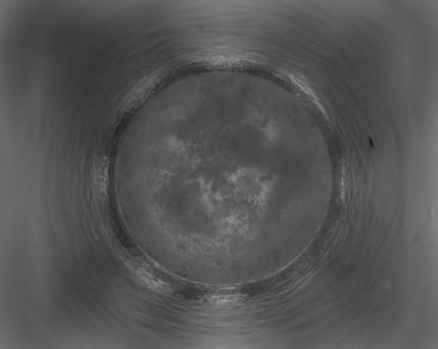 X0000084050495200702232355