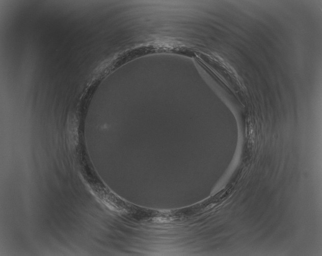 X0000084050496200702232355