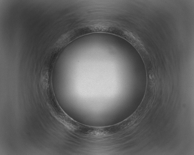 X0000084050498200702232355