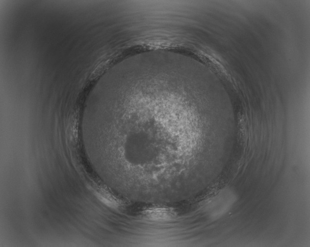 X0000084050499200702232355