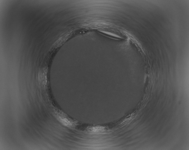 X0000084050501200702232355