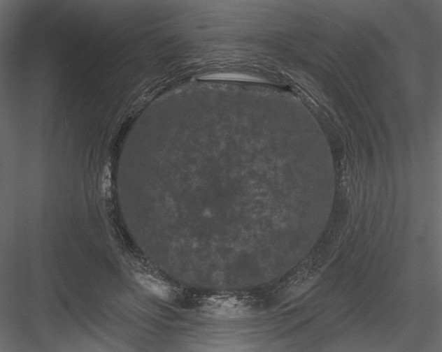 X0000084050502200702232355