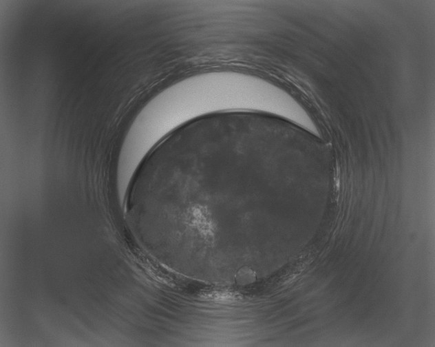 X0000084050503200702232355