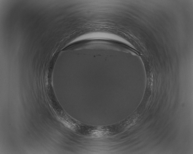 X0000084050504200702232355