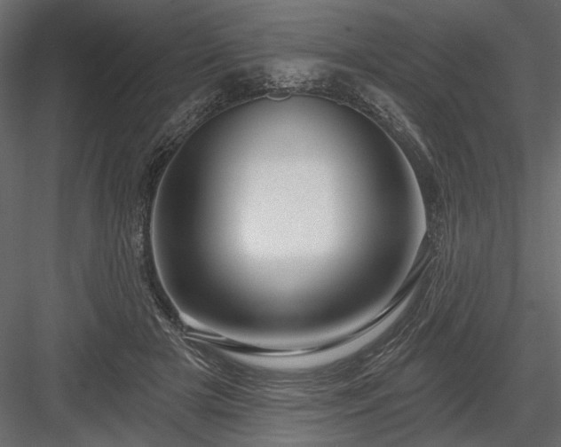 X0000084050505200702232355