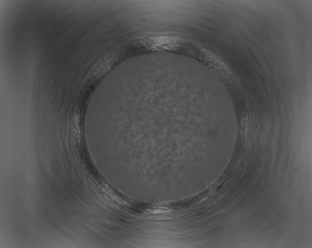 X0000084050506200702232355