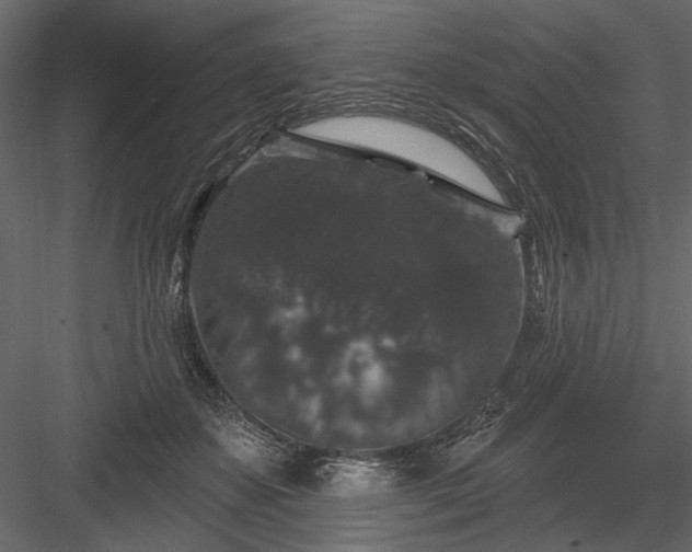 X0000084050507200702232355