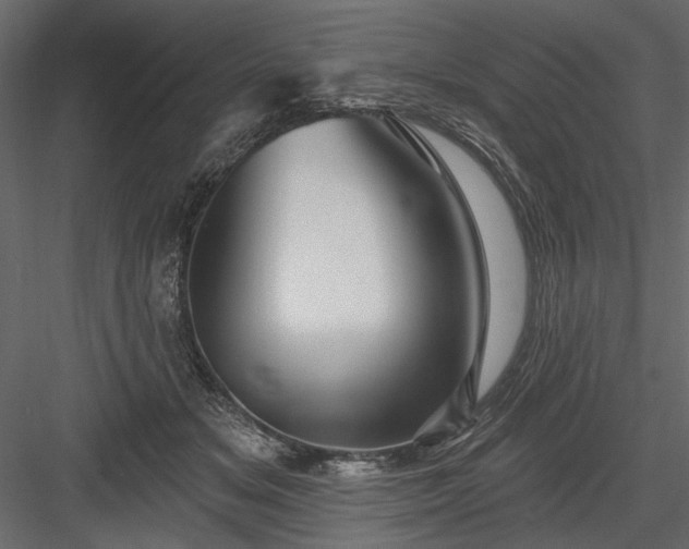 X0000084050509200702232355