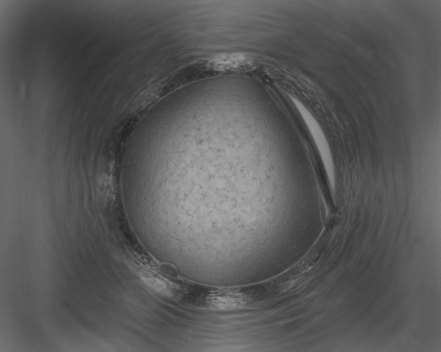 X0000084050510200702232355