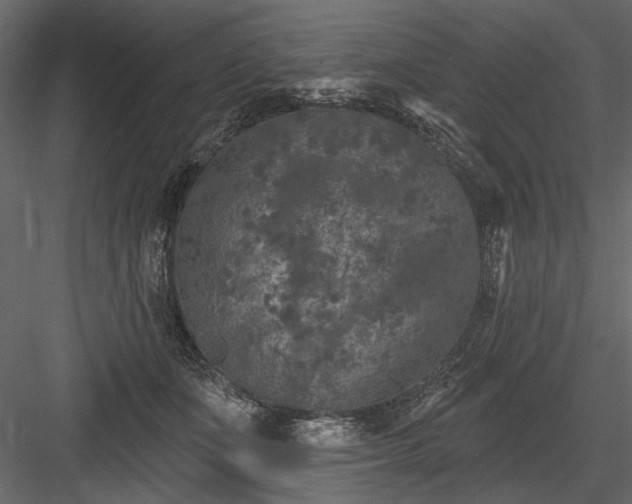 X0000084050511200702232355