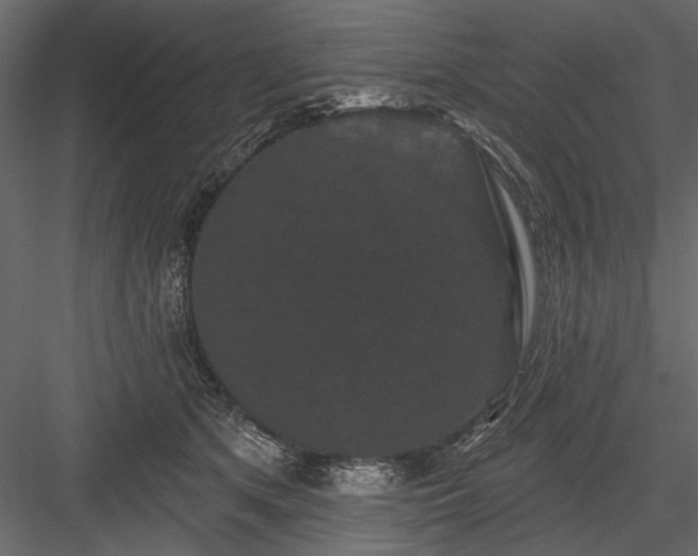 X0000084050513200702232355