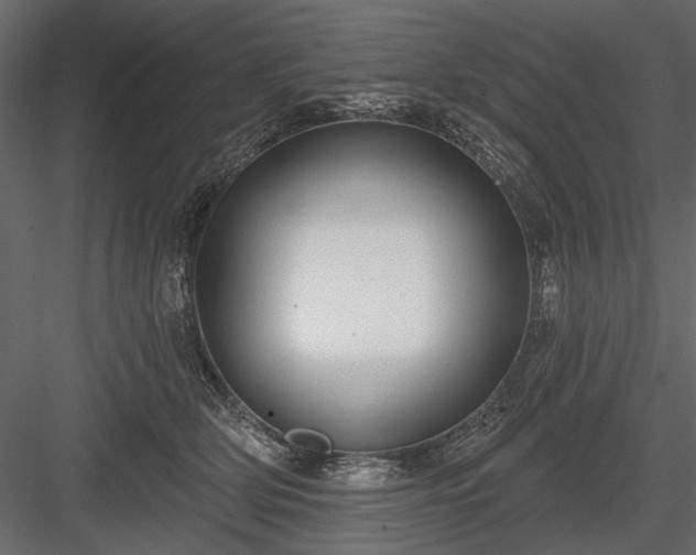 X0000084050514200702232355