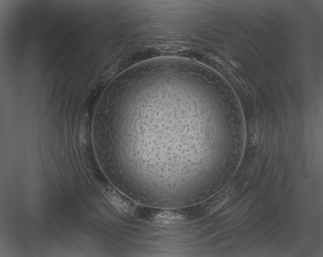 X0000084050515200702232355