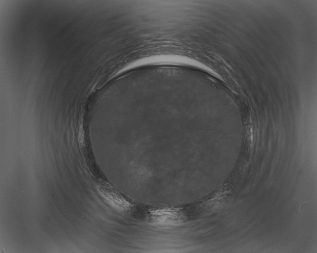 X0000084050516200702232355