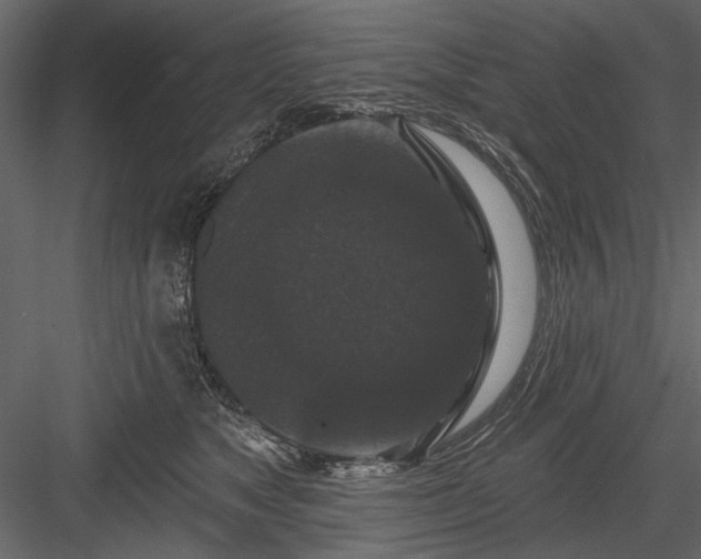 X0000084050517200702232355