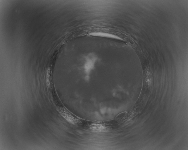 X0000084050519200702232355