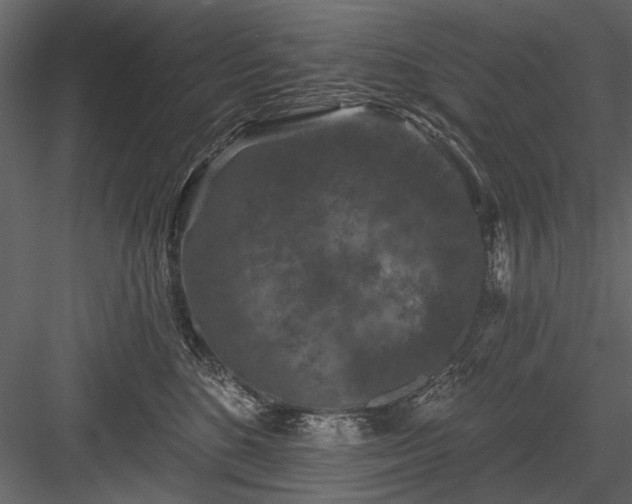 X0000084050520200702232355