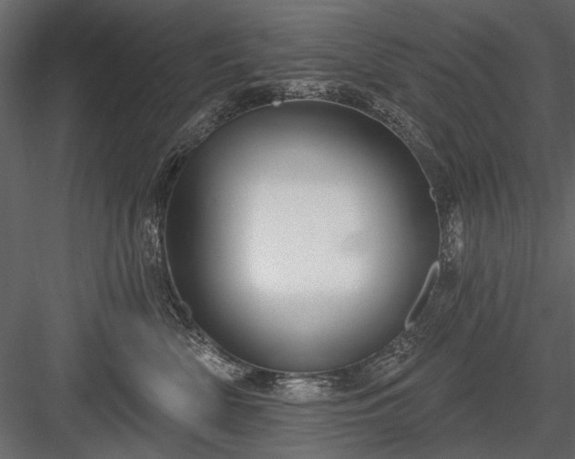 X0000084050522200702232355