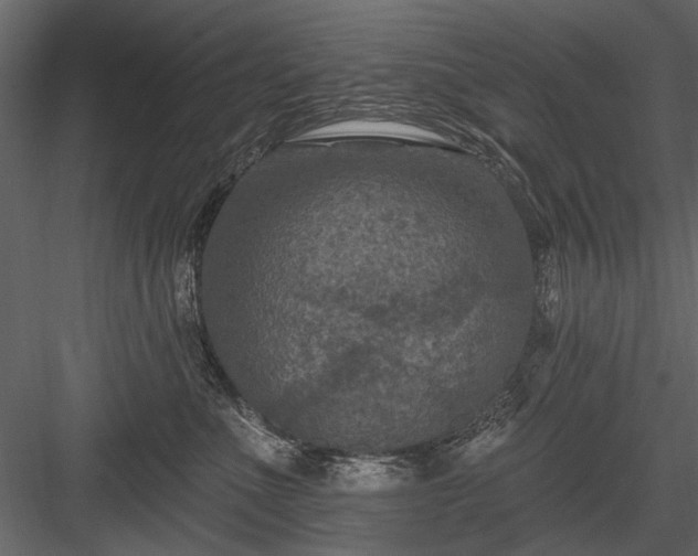 X0000084050523200702232355