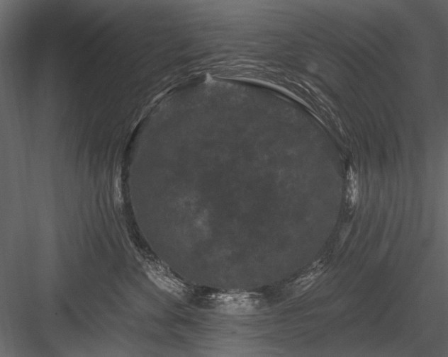 X0000084050524200702232355