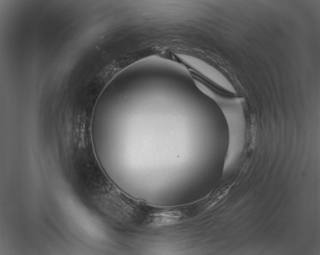 X0000084050525200702232355