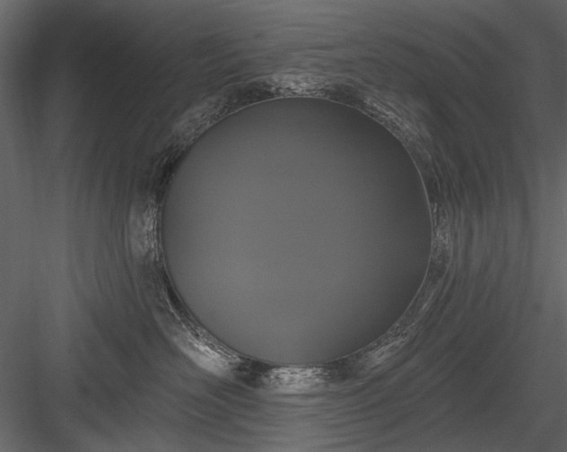 X0000084050526200702232355