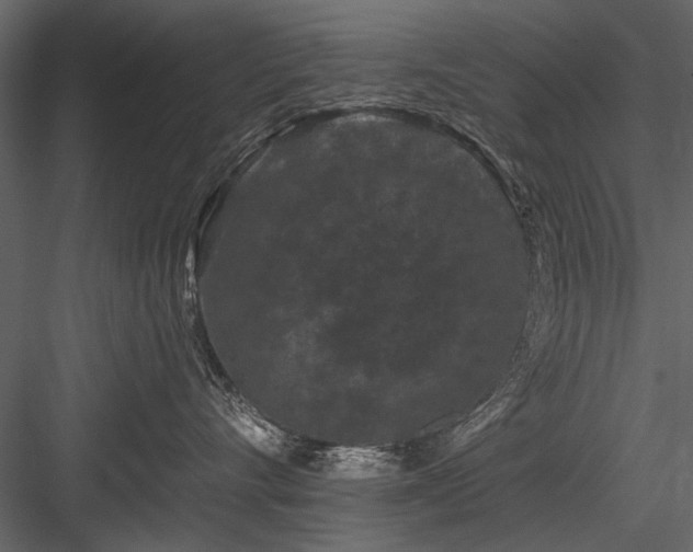 X0000084050528200702232354