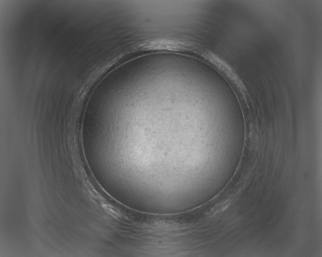 X0000084050529200702232354