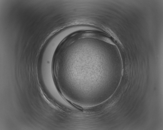 X0000084050530200702232354