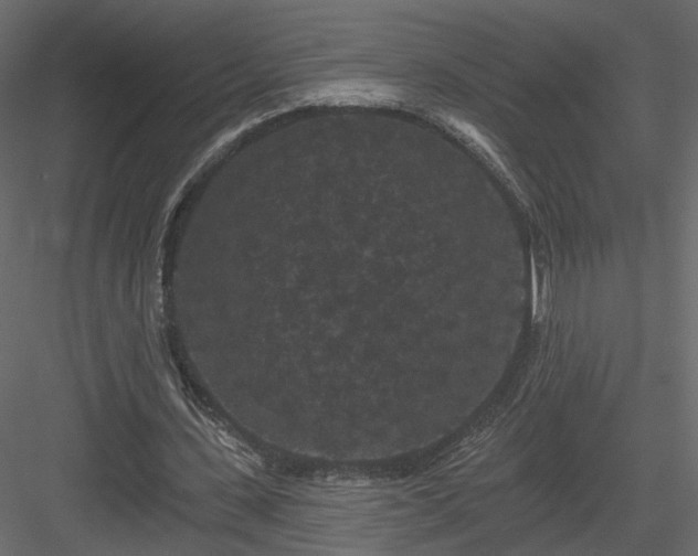 X0000084050531200702232354