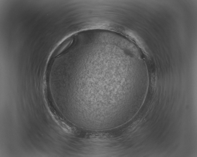 X0000084050532200702232354