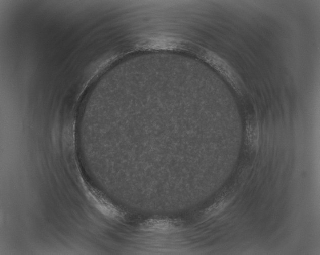 X0000084050534200702232354