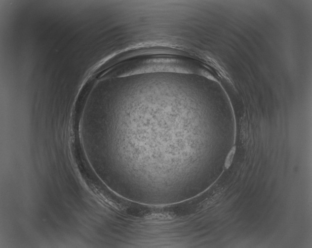 X0000084050536200702232354