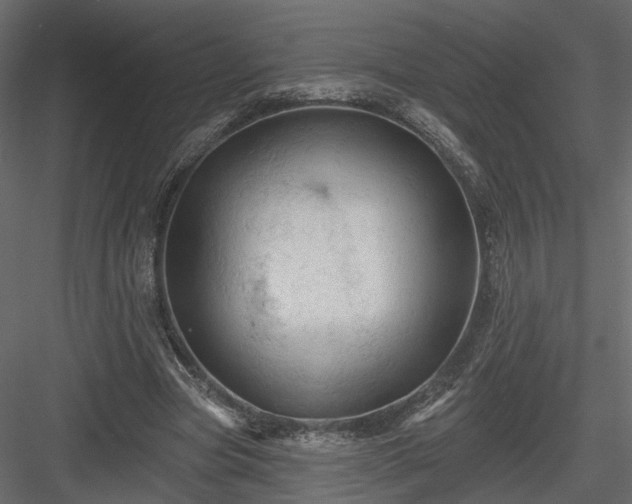 X0000084050537200702232354