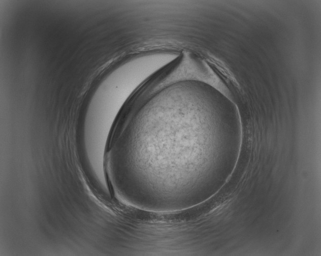 X0000084050538200702232354