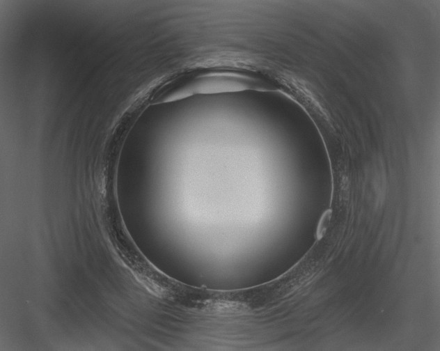 X0000084050539200702232354