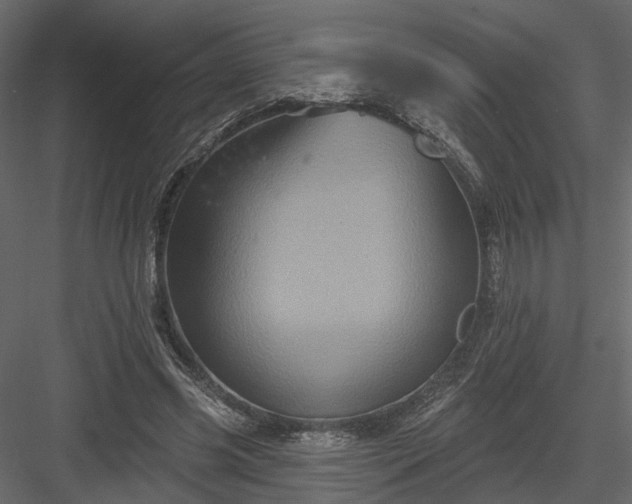 X0000084050541200702232354